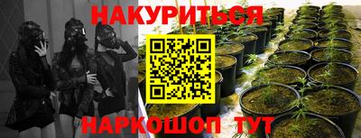прущие грибы Кунгур