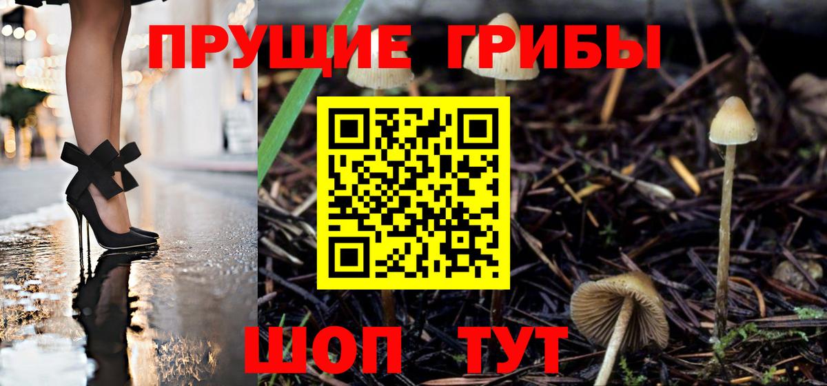 Псилоцибиновые грибы GOLDEN TEACHER Губкинский