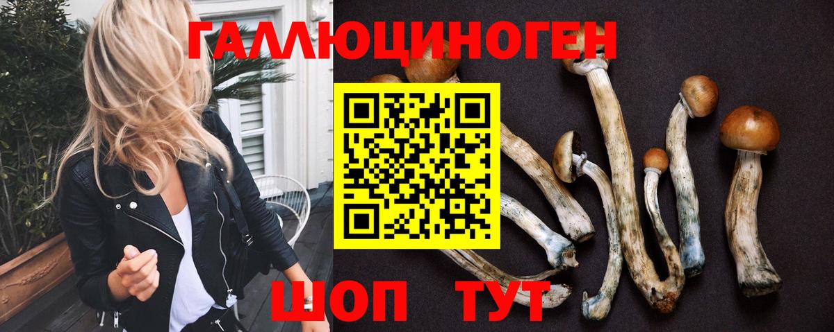 Псилоцибиновые грибы мицелий  Вход с VPN  Псилоцибиновые грибы ЛСД  купить   Губкинский 